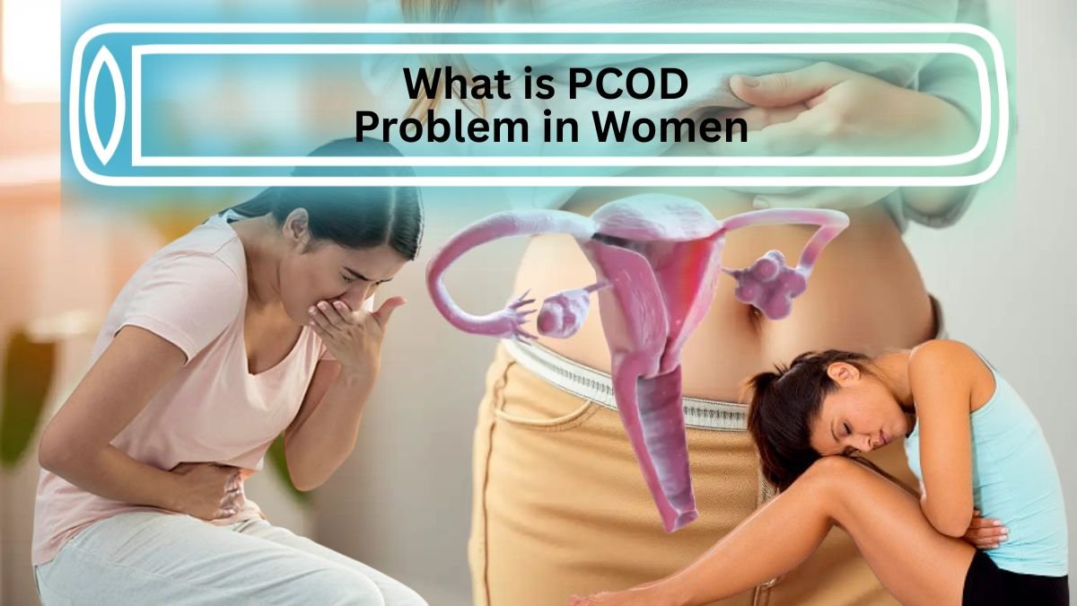 What is PCOD Problem in Women (2)