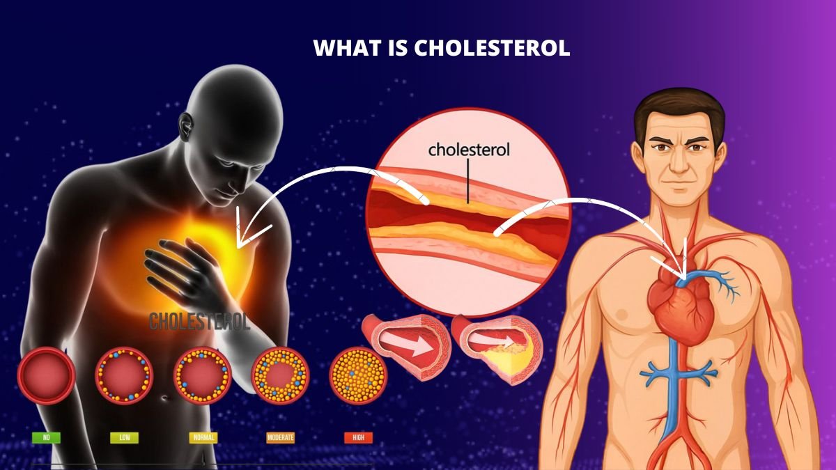 What is cholesterol